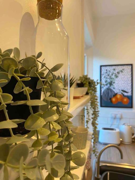 Garden Apartment, Central Harrogate With Parking Zewnętrze zdjęcie